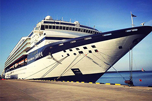 New Century Cruise Group